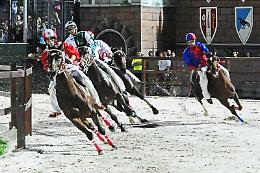 Legnano: Mulas in biancoblu, Calvaccio correr&agrave; la "Provaccia" per San Bernardino