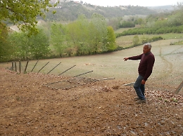 Daini sbranati sulle colline di Nizza: il lupo &egrave; l'indiziato numero uno