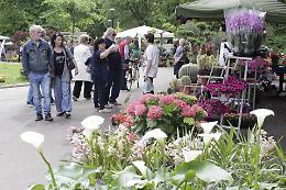 Una giornata al parco tra creazioni floreali, eventi e moda
