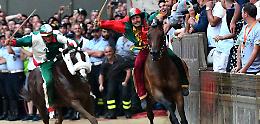 Siena, ultime ipotesi sulle monte in vista del Palio di Provenzano