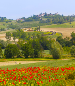 Il Monferrato autentico trait d&rsquo;union tra i navigli e la riviera