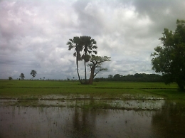 Volontario astigiano in Senegal documenta il cambiamento climatico e l'emergenza acqua