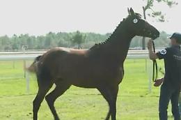 Forban du Pecos vince ancora: San Pietro gongola