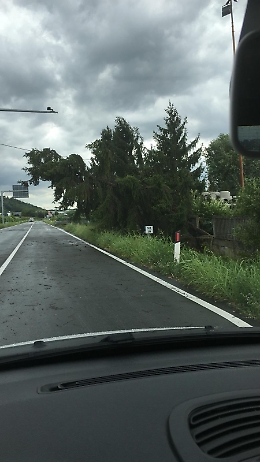 Tromba d&rsquo;aria nell&rsquo;Astigiano, tanti interventi per alberi caduti tra Isola e Costigliole