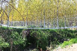 Al Museo dei fossili di Asti piccoli paleontologi nel giorno di Ferragosto