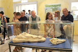 Museo paleontologico, inaugurata la mostra sui fossili viventi