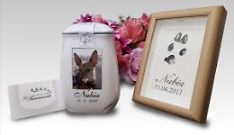 Angeli e Orme, un'agenzia funebre per gli animali