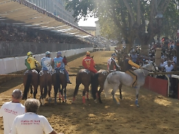 Palio: Santa Caterina, Viatosto, San Lazzaro e Torretta in finale
