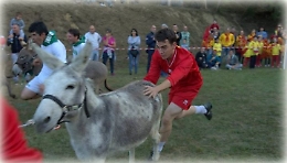 Montafia, domenica si corre il Palio degli asini