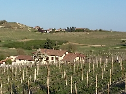 Piano di sviluppo rurale: ritardi nell'assegnazione da parte della Regione