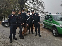 Agliano: bocconi per cani con "ripieno" di lametta tagliente sotto i tigli del cimitero