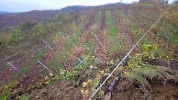 A Vesime la collina &laquo;scivola&raquo; a valle