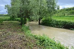 Un'autostrada verde sperimentale lungo il torrente Tiglione tra le province di Asti e Alessandria con 65 mila alberi