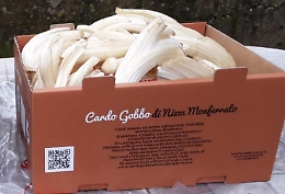 Nizza Monferrato: il cardo gobbo plastic free viagger&agrave; solo pi&ugrave; dentro il cartone