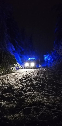 Temporale di neve nella notte sul sud Astigiano, rami e alberi caduti