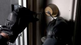 Attivit&agrave; dei carabinieri del 2019: diminuiscono i furti ma crescono le truffe