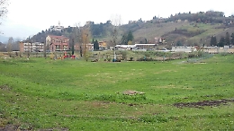 Esche avvelenate al parco Boncore?