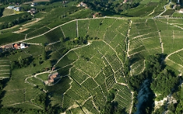 Nizza Docg: crescono i produttori e gli ettari vitati