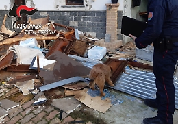 Casorzo: i carabinieri Forestali salvano un cagnolino in una casa piena di rifiuti