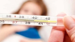 Arrivata l'influenza: ad oggi 180 mila casi in Piemonte, il picco  nelle prossime settimane