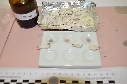 Asti, la polizia arresta pusher torinese con 48 ovuli di cocaina