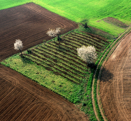 Niente tour, questa settimana il Monferrato scopritelo da casa leggendo