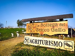 Macelleria a domicilio: dal Bricco Gallo direttamente a casa vostra