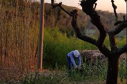 In meno di due ore una squadra Enel ha riportato la luce a tutta Camerano Casasco