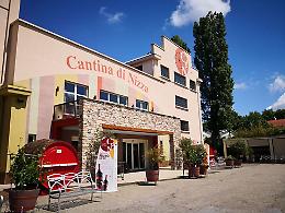 La Cantina Nizza guarda oltre l'emergenza e a nuovi canali per promuovere i suoi vini