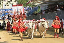 Palio s&igrave;, Palio no: contrastanti le opinioni di alcuni ex Rettori