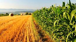 Sostegni anche per agriambiente e per il settore dedicato al biologico