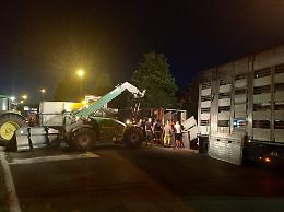 Villanova d&rsquo;Asti, camion con un carico di maiali si ribalta sulla strada