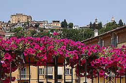 "Canelli in fiore", un concorso premia i migliori scorci fioriti della citt&agrave;