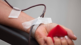 Avis: giornata del donatore di sangue vissuta a distanza
