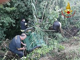 Villa San Secondo,  Vigili del Fuoco salvano un cavallo con calesse finito &ldquo;fuoristrada&rdquo;
