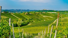 Il Comune di Asti torna alla carica per essere inserito nel disciplinare della docg, ma i Comuni del Moscato respingono al mittente