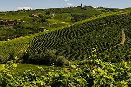 Il week end in Valle Belbo: appuntamenti all'aria aperta