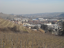 Canelli, il lockdown ha fatto perdere mediamente il 20% di fatturato