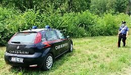 Montiglio Monferrato: anziano si perde nel bosco e viene ritrovato dai carabinieri