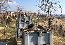 Cisterna d'Asti: non solo vigne, ma anche boschi per "coltivare" biodiversit&agrave;