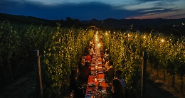 Le previsioni meteo fanno spostare la cena-spettacolo in vigna di Agrifestival CIA
