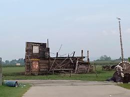 Asti: temporale e vento fanno strage di alberi nel Villanovese