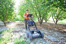 Rocca d'Arazzo, dopo la tomba si cerca il resto dell'insediamento romano con il georadar