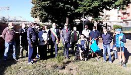 Una pianta di melograno nel giardino di via Omed&egrave; per simboleggiare la rinascita della zona