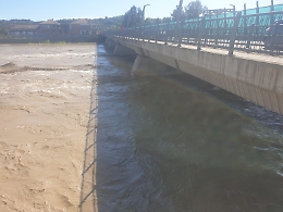 Asti, la piena del Tanaro sta passando senza fare paura