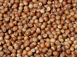 Valorizzazione della qualit&agrave; e potenziamento della filiera per il sostegno della nocciola