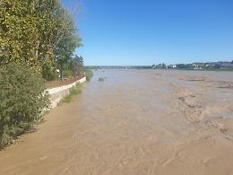 Il sindaco Rasero: "Interventi urgenti sul Tanaro per garantire la sicurezza della citt&agrave;"