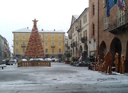 A Nizza Monferrato un albero ecosostenibile in piazza del Comune