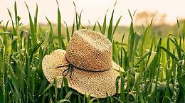 In Piemonte aiuti alle aziende agricole colpite dalla crisi Covid