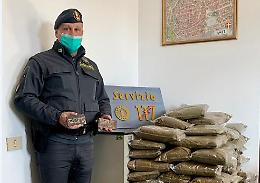 Asti, spaccio di "fumo" al distributore self-service: sequestrati 100 chili di sostanza stupefacente